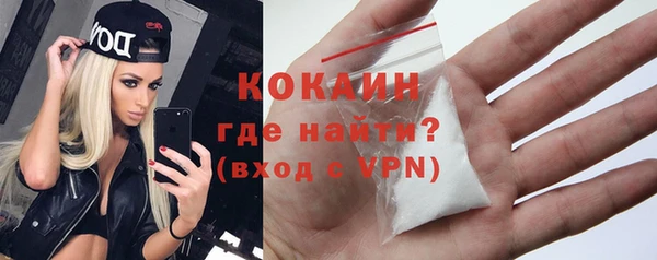 PSILOCYBIN Горнозаводск