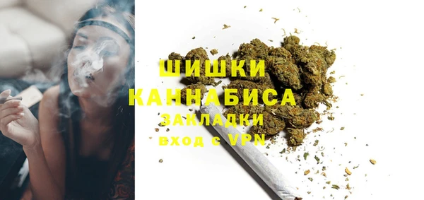 PSILOCYBIN Горнозаводск