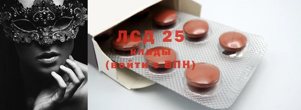 PSILOCYBIN Горнозаводск