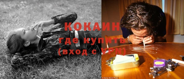 mix Горняк