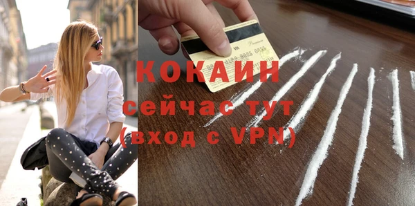PSILOCYBIN Горнозаводск