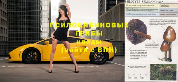 mix Горняк